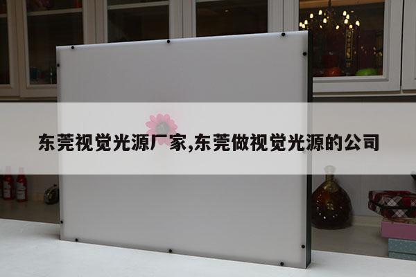 東莞視覺光源廠家,東莞做視覺光源的公司