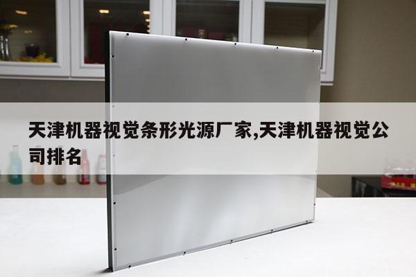天津機(jī)器視覺(jué)條形光源廠家,天津機(jī)器視覺(jué)公司排名